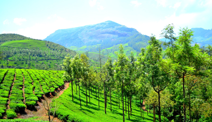 2 Nights Short Trip To Munnar