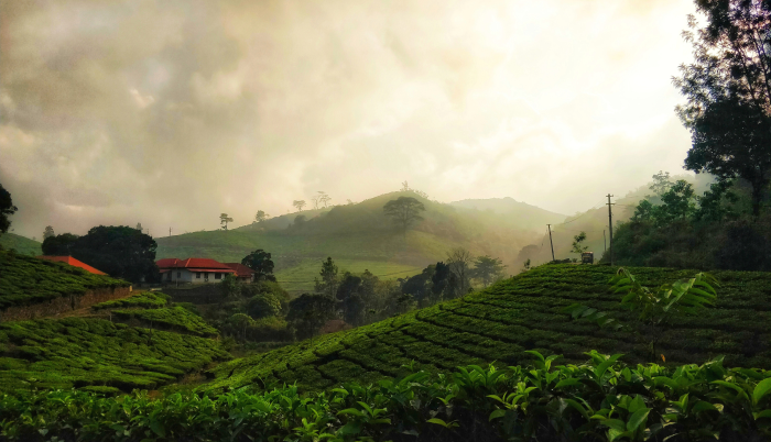 7 nights fantastic kerala