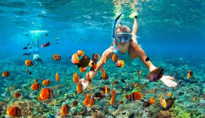 andaman paradise on coral-reef