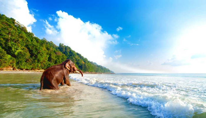 andaman-precious-tour