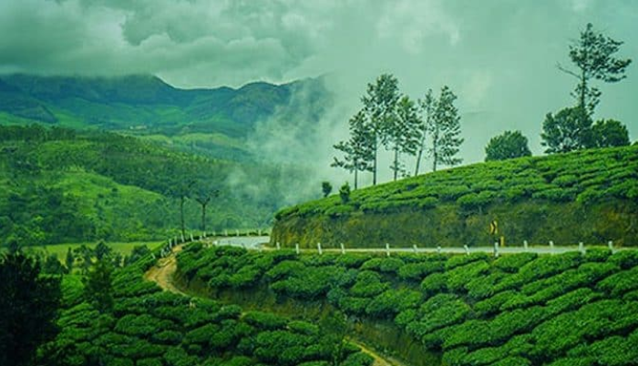 kerala-tour-3-nights